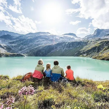 Dağ evi Pinzgau 2b *