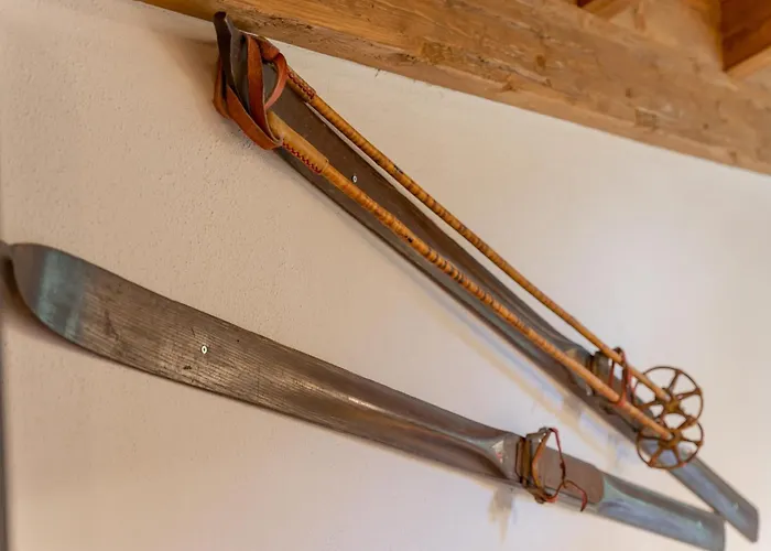 Pinzgau 2b * Wald im Pinzgau