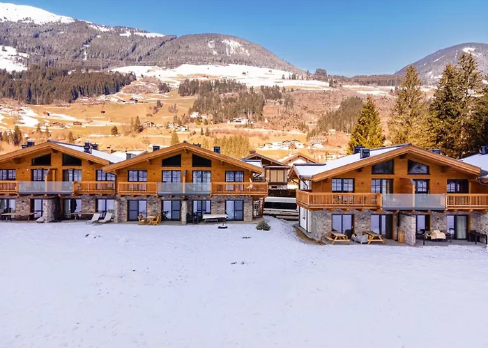 Chalet Pinzgau 2b Wald im Pinzgau